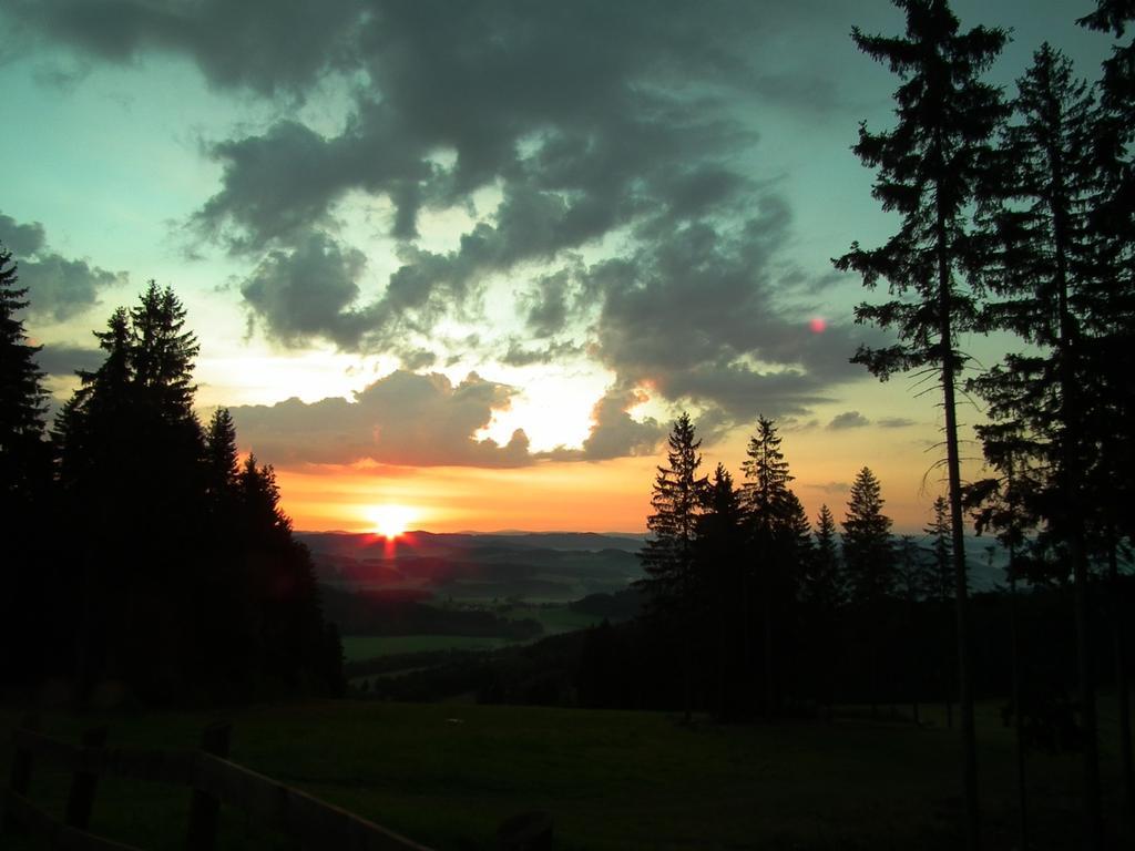 Apartman Lipanek Lipno nad Vltavou Zewnętrze zdjęcie